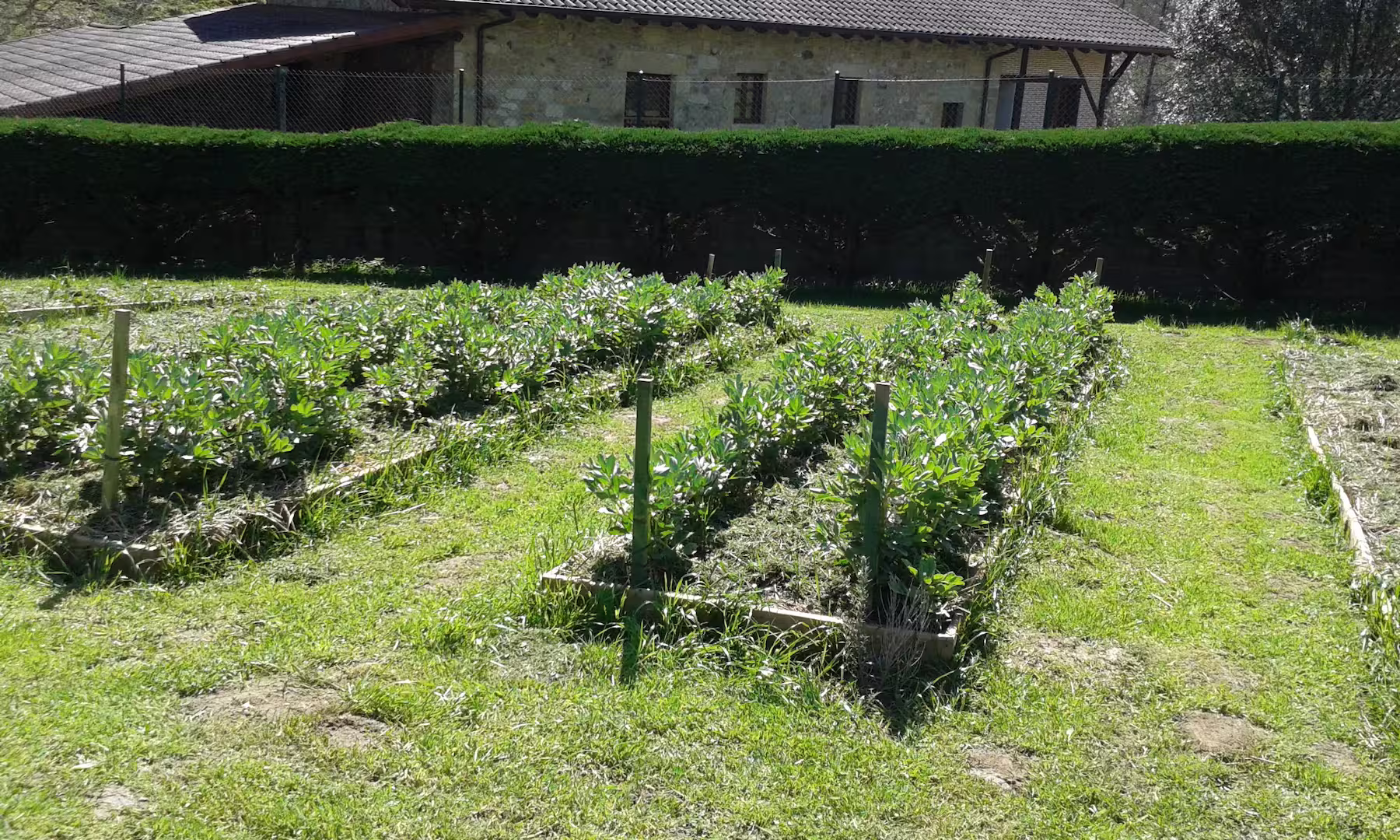 Huerto-ecologico-34